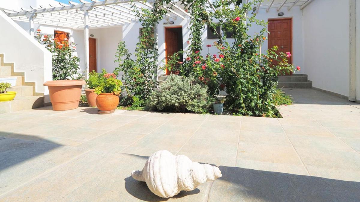 Ενοικιαζόμενα Διαμερίσματα Άρτεμις Скирос Экстерьер фото